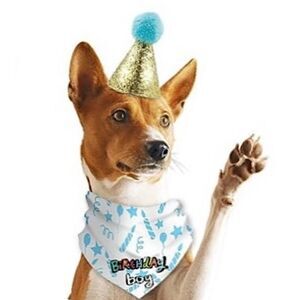 Dog Birthday Boy Bandana New With Birthday Party Hat, Furbaby Pet